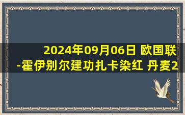 2024年09月06日 欧国联-霍伊别尔建功扎卡染红 丹麦2-0九人瑞士